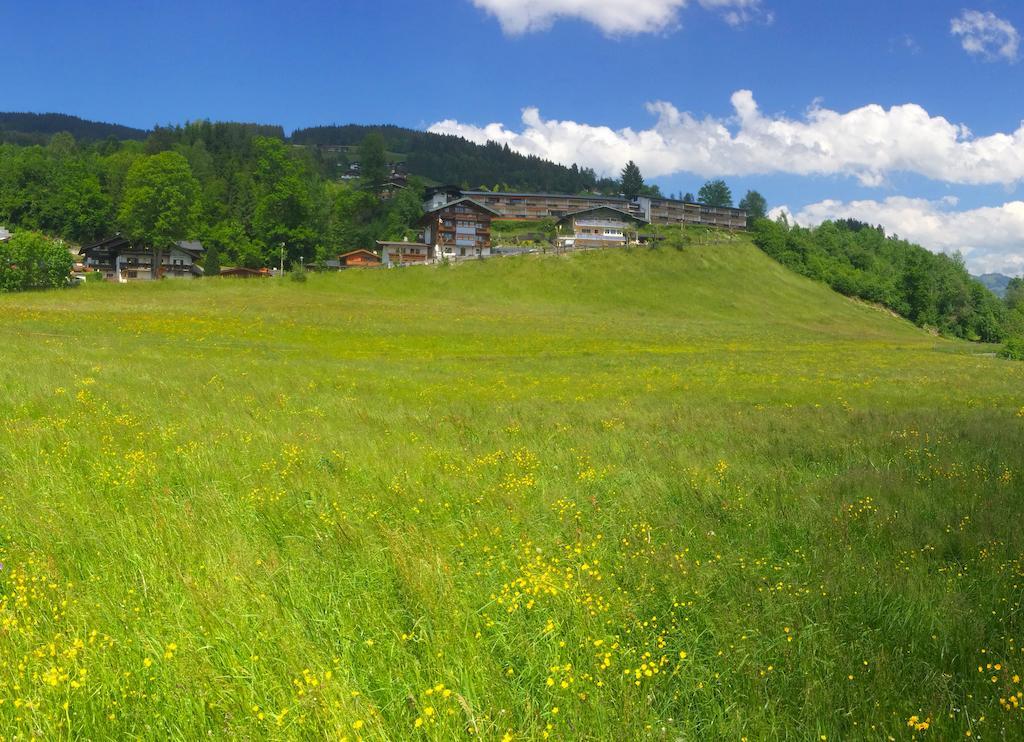 Apartment Weinberg Kirchberg in Tirol Exteriör bild